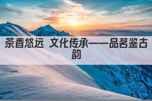 茶香悠远 文化传承——品茗鉴古韵