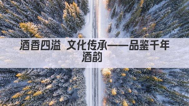 酒香四溢 文化传承——品鉴千年酒韵 