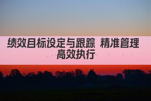 绩效目标设定与跟踪 精准管理 高效执行