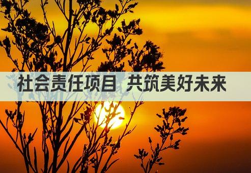 社会责任项目 共筑美好未来 