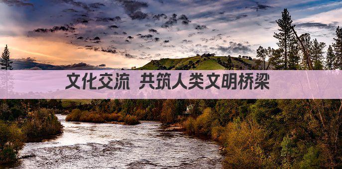 文化交流 共筑人类文明桥梁 