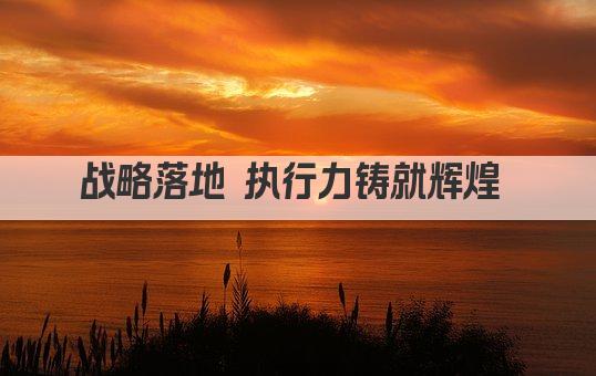 战略落地 执行力铸就辉煌 