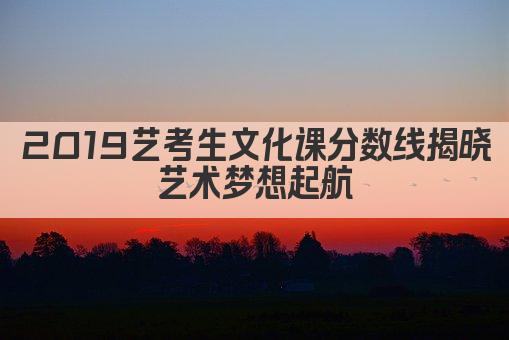 2019艺考生文化课分数线揭晓 艺术梦想起航 