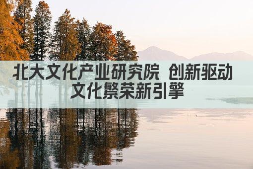 北大文化产业研究院 创新驱动 文化繁荣新引擎