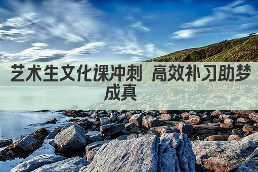 艺术生文化课冲刺 高效补习助梦成真  