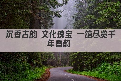 沉香古韵 文化瑰宝 一馆尽览千年香韵 