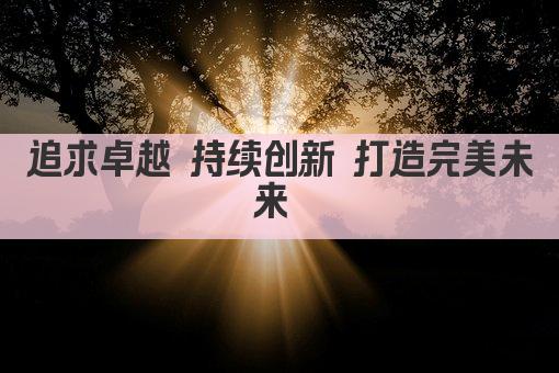 追求卓越 持续创新 打造完美未来 