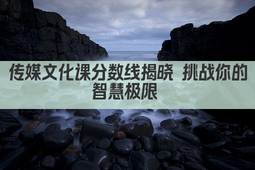 传媒文化课分数线揭晓 挑战你的智慧极限 