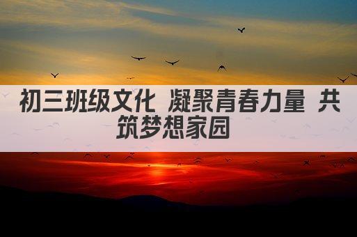 初三班级文化 凝聚青春力量 共筑梦想家园 