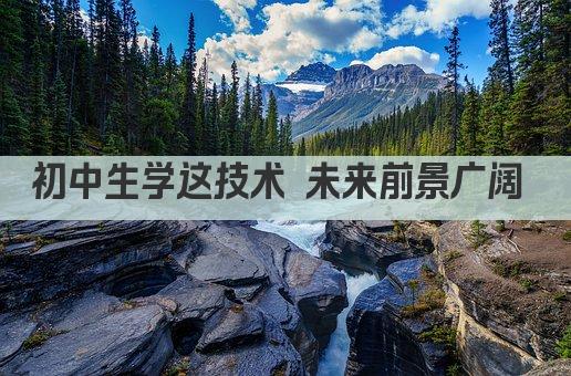 初中生学这技术 未来前景广阔 