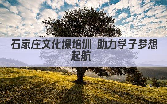 石家庄文化课培训 助力学子梦想起航 