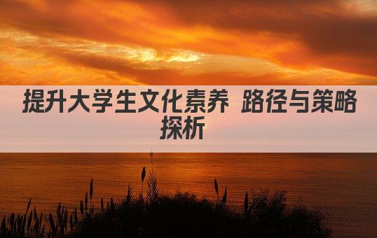 提升大学生文化素养 路径与策略探析 