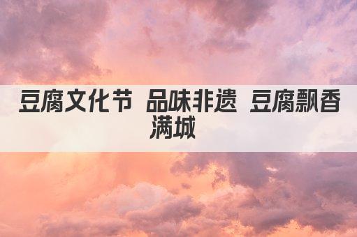豆腐文化节 品味非遗 豆腐飘香满城 