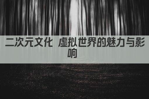 二次元文化 虚拟世界的魅力与影响 