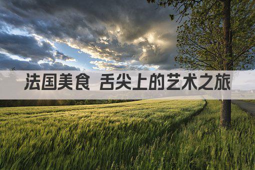 法国美食 舌尖上的艺术之旅