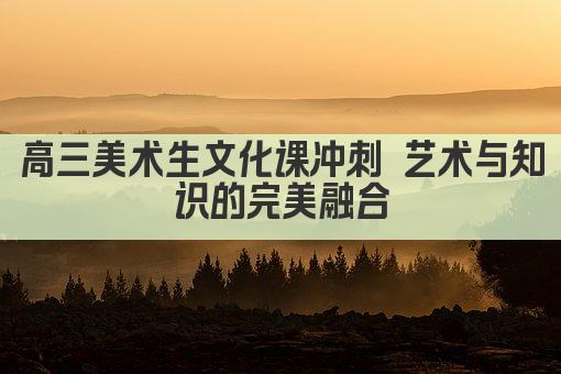 高三美术生文化课冲刺 艺术与知识的完美融合