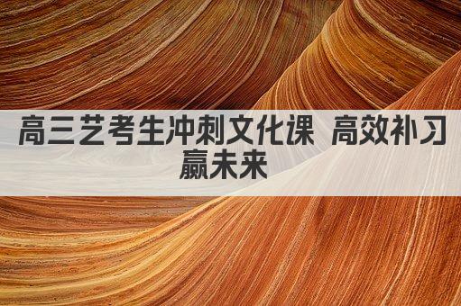 高三艺考生冲刺文化课 高效补习赢未来 