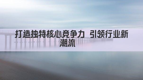 打造独特核心竞争力 引领行业新高峰  