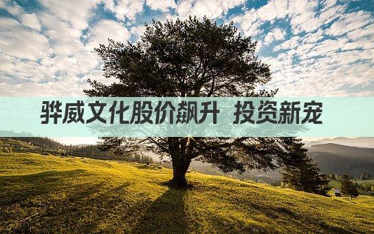 骅威文化股价飙升 投资新宠 