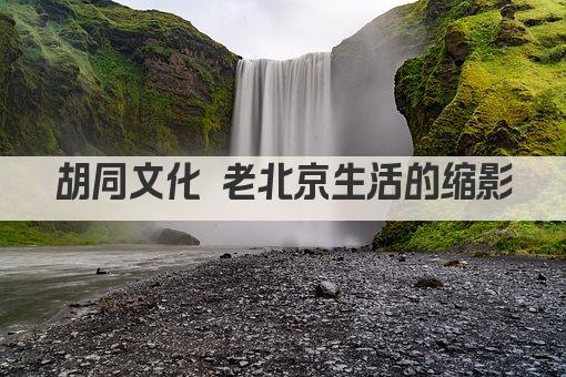 胡同文化 老北京生活的缩影
