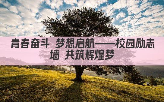青春奋斗 梦想启航——校园励志墙 共筑辉煌梦