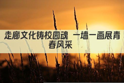 走廊文化铸校园魂 一墙一画展青春风采 