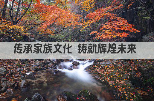 传承家族文化 铸就辉煌未来 