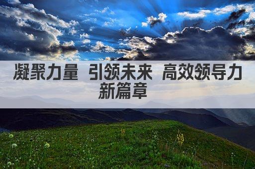 引领未来 卓越领导力铸就辉煌篇章 