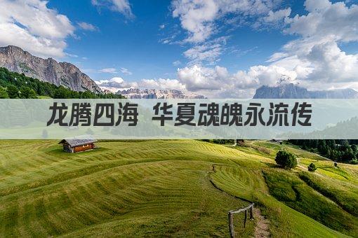 龙腾四海 华夏魂魄永流传