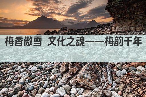 梅香傲雪 文化之魂——梅韵千年 