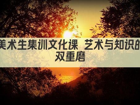 美术生集训文化课 艺术与知识的双重磨砺