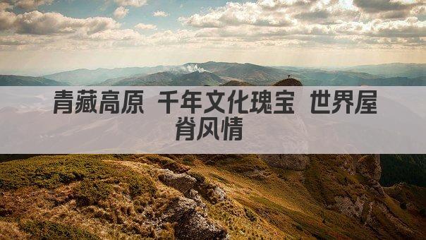 青藏高原 千年文化瑰宝 世界屋脊风情 