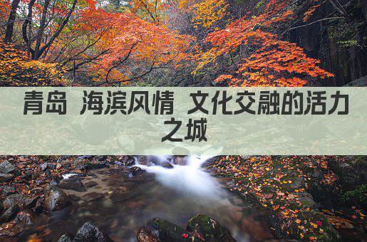 青岛 海滨风情 文化交融的活力之城
