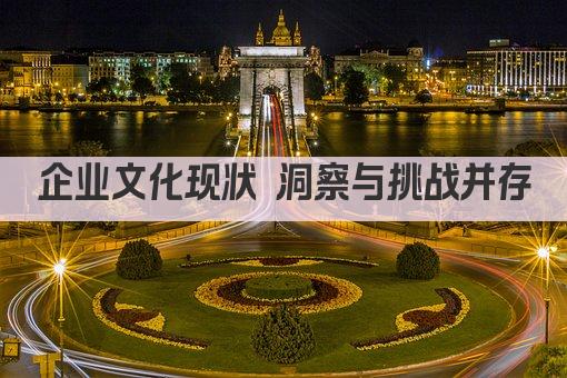 企业文化现状 洞察与挑战并存