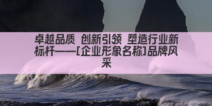 卓越品质 创新引领 塑造行业新标杆——[企业形象名称]品牌风采