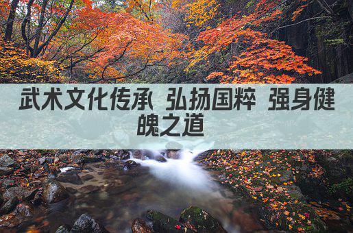 武术文化传承 弘扬国粹 强身健魄之道 