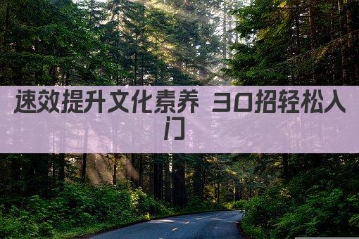 速效提升文化素养 30招轻松入门 