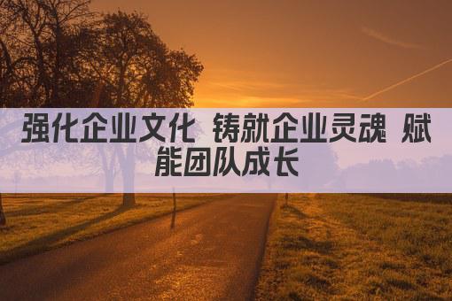强化企业文化 铸就企业灵魂 赋能团队成长