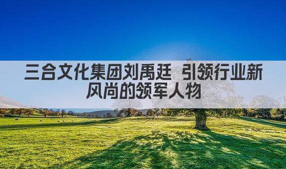 三合文化集团刘禹廷 引领行业新风尚的领军人物