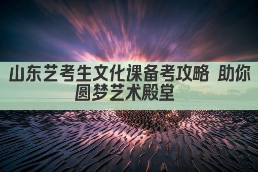 山东艺考生文化课备考攻略 助你圆梦艺术殿堂 