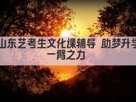 山东艺考生文化课辅导 助梦升学一臂之力 