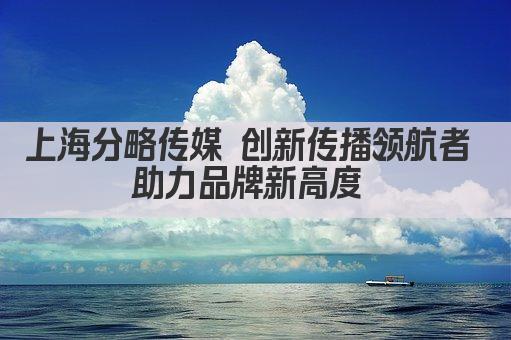 上海分略传媒 创新传播领航者 助力品牌新高度 
