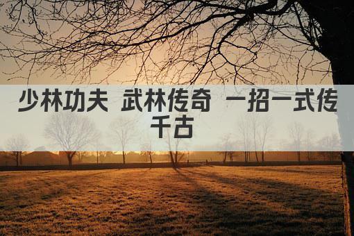 少林功夫 武林传奇 一招一式传千古 
