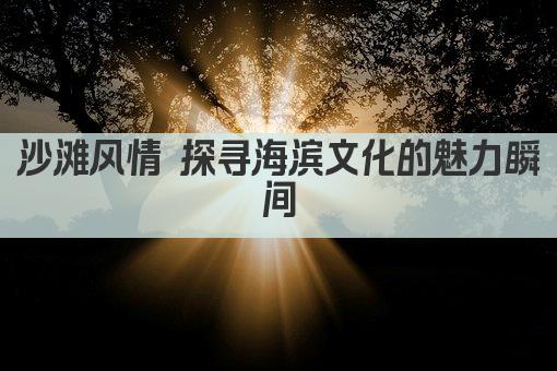 沙滩风情 探寻海滨文化的魅力瞬间
