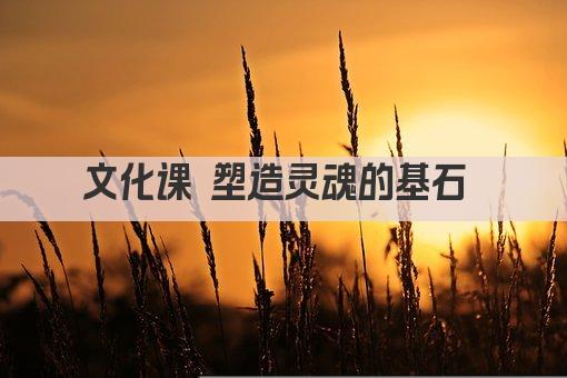 文化课 塑造灵魂的基石 