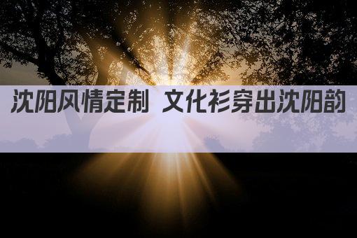 沈阳风情定制 文化衫穿出沈阳韵 