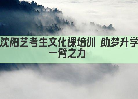 沈阳艺考生文化课培训 助梦升学一臂之力 