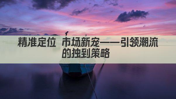 精准定位 市场新宠——引领潮流的独到策略 