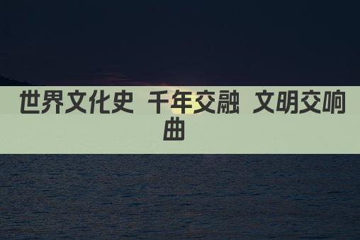 世界文化史 千年交融 文明交响曲 