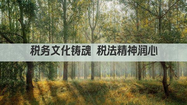 税务文化铸魂 税法精神润心